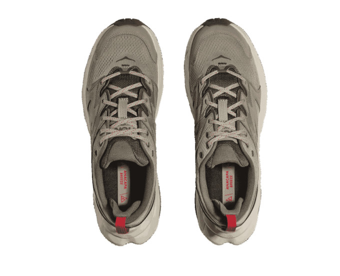 Anacapa Breeze ‘Barley Oat Milk’ Anacapa Breeze ‘Barley Oat Milk’