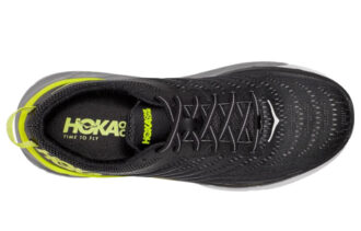 Arahi 4 ‘Black Evening Primrose’