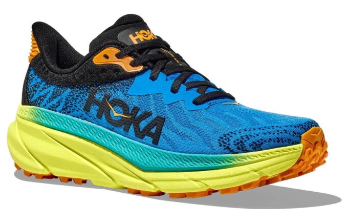 Challenger ATR 7 ‘Diva Blue Evening Primrose’