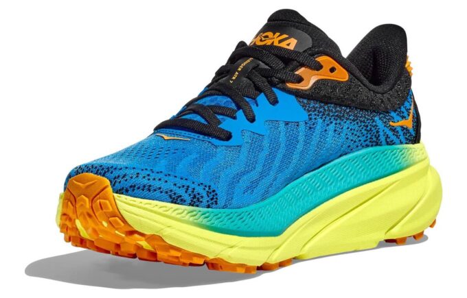 Challenger ATR 7 ‘Diva Blue Evening Primrose’