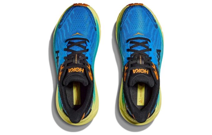 Challenger ATR 7 ‘Diva Blue Evening Primrose’