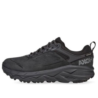 Challenger Low Gore-Tex ‘Black’ Challenger Low Gore-Tex ‘Black’