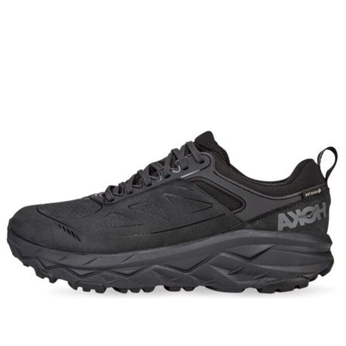 Challenger Low Gore-Tex ‘Black’