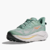 HOKA ONE ONE Bondi 9