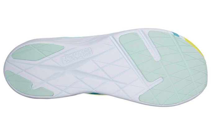 Rocket X ‘Blue Glass Evening Primrose’