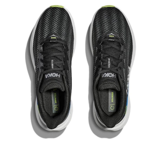 Solimar ‘Black Lettuce’