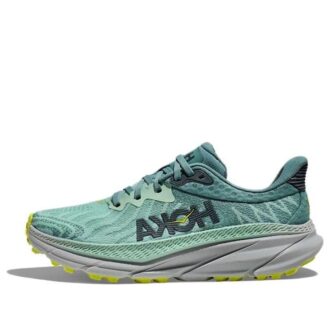 (WMNS) Challenger ATR 7 ‘Mist Green Trellis’